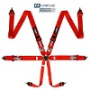 RRS R6 6 Point FIA 8853-2016 Saloon Harness, 2.9kg, 3”/3" HANS®/FHR