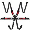 RRS FIA R6 6 Point FIA 8853-2016 3”/2” HANS®/FHR - Saloon XL