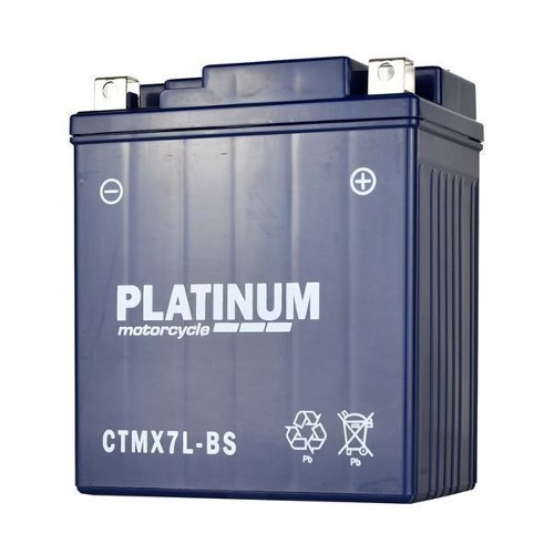 Platinum Mcycle Battery D