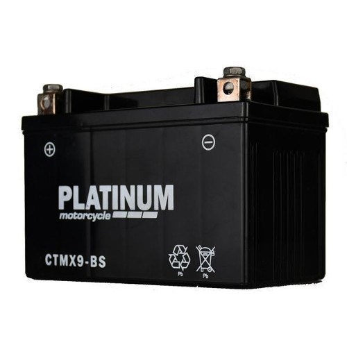 Platinum Mcycle Battery