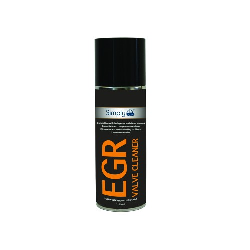 EGR CLEANER 250ML POWER CAN