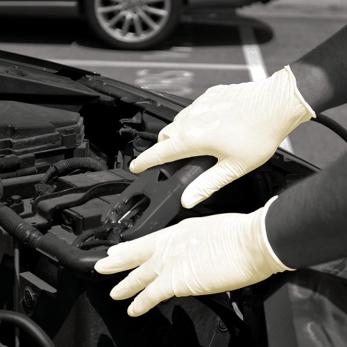 Latex - Powdered Gloves (Large) |Pack of 100|