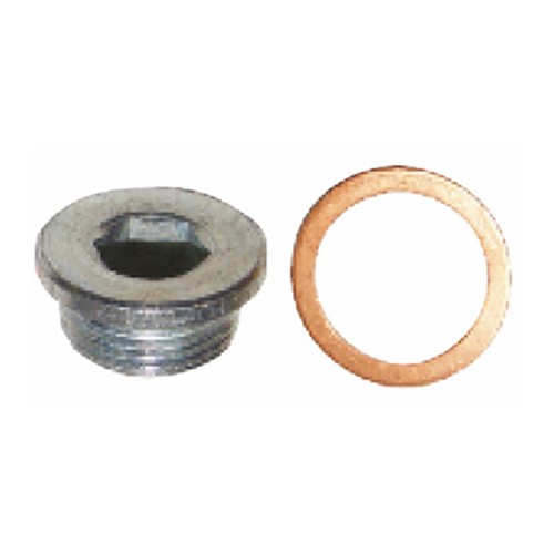 SUMP PLUG & WASHER M22 CITR PEU