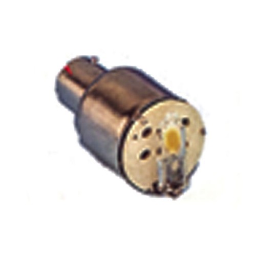 Reversing Bulb / Buzzer 12V