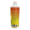 DPF Top Gun Cleaner (1 Litre)