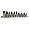 Short Star Socket Bit Set 1/4"D&#44 3/8"D&#44 1/2"D (12 Pieces)