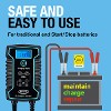 6A Smart Charger and Battery Maintainer