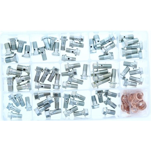 Bigg Red Banjo Bolt Assorted Kit - 70 Bolts + 130 copper washers BRBANKIT