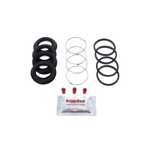 Bigg Red Caliper Repair Kit L or R BRK203841S