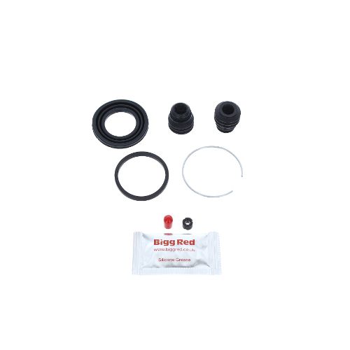 Bigg Red Caliper Repair Kit L or R BRK204354S