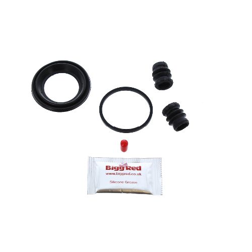 Bigg Red Caliper Repair Kit L or R BRK204885S