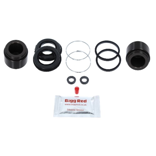 Bigg Red Caliper Piston Kit Rear L or R BRKP189S