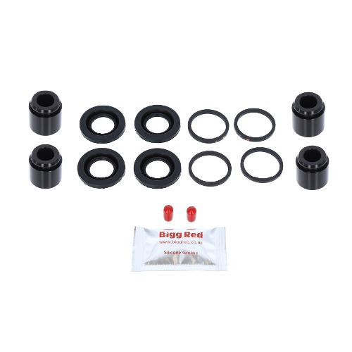 Bigg Red Caliper Piston Kit Rear L or R BRKP484S