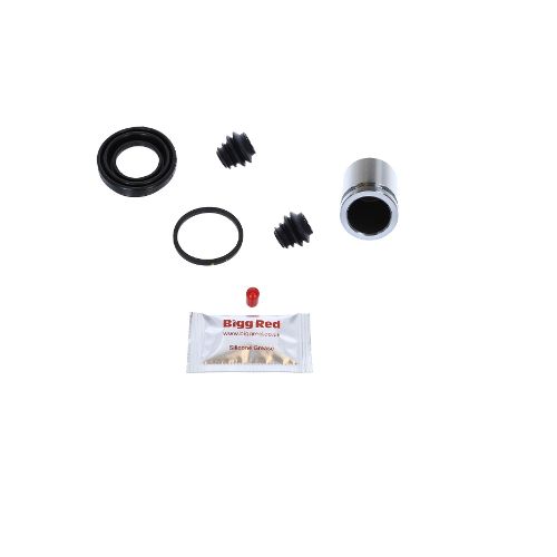 Bigg Red Caliper Piston Kit Rear L or R BRKP794S