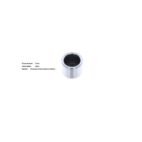 Bigg Red Caliper Piston L or R BRP231582