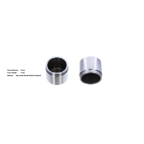 Bigg Red Caliper Piston L or R BRP232007