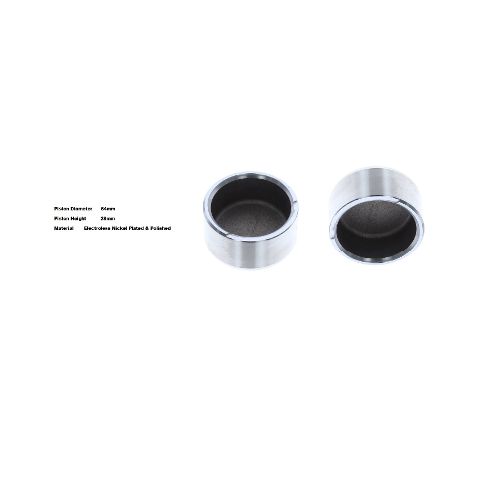 Bigg Red Caliper Piston L or R BRP232181