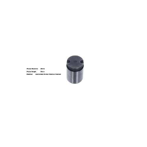 Bigg Red Caliper Piston L or R BRP233010