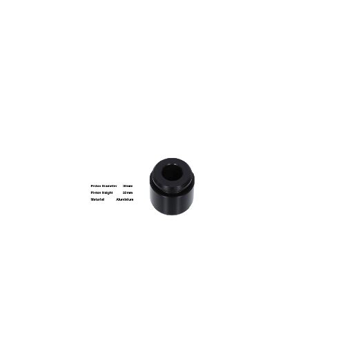 Bigg Red Caliper Piston L or R BRP233028