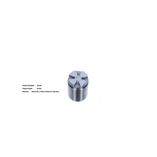 Bigg Red Caliper Piston L or R BRP233411
