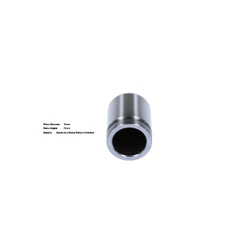 Bigg Red Caliper Piston L or R BRP233420
