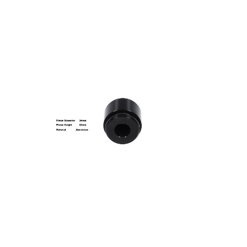 Bigg Red Caliper Piston L or R BRP233424