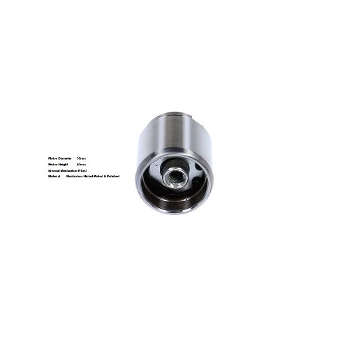 Bigg Red Caliper Piston L or R  BRP233506I