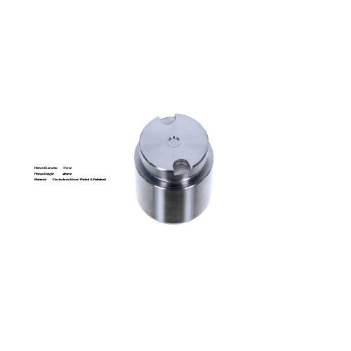 Bigg Red Caliper Piston L or R  BRP233511I