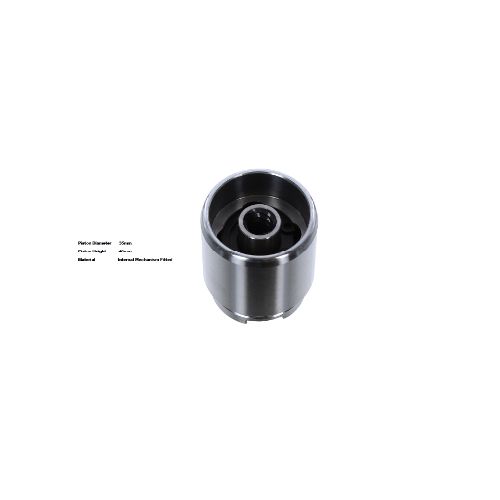 Bigg Red Caliper Piston L or R  BRP233514I