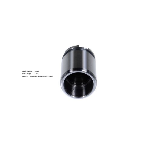 Bigg Red Caliper Piston L or R BRP233615