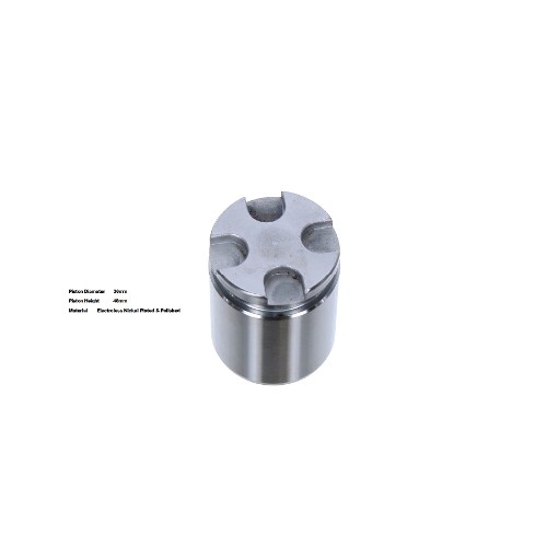 Bigg Red Caliper Piston L or R  BRP233630I