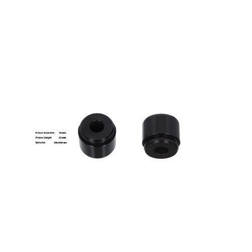 Bigg Red Caliper Piston L or R BRP233639
