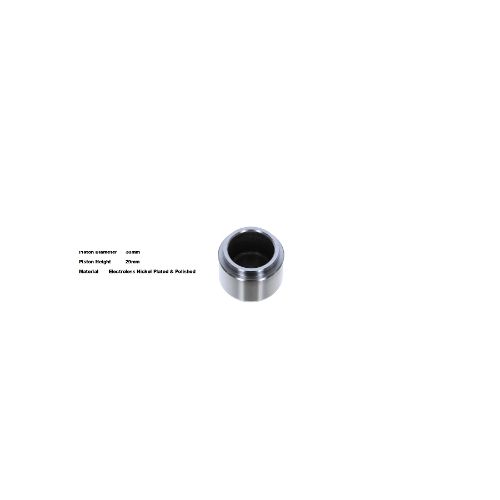Bigg Red Caliper Piston L or R BRP233801