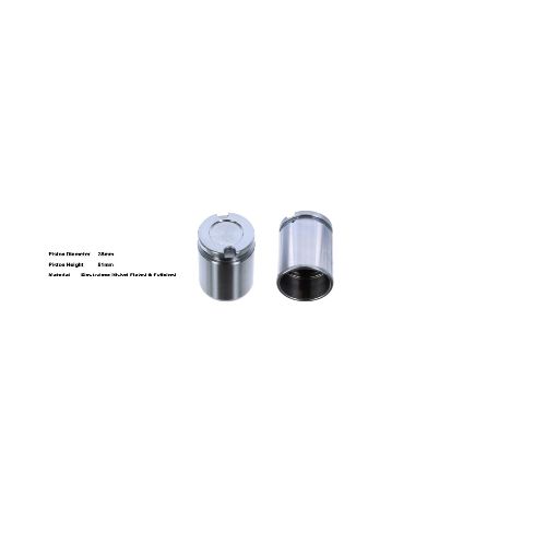 Bigg Red Caliper Piston L or R BRP233815