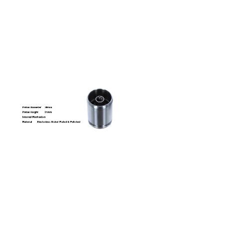 Bigg Red Caliper Piston L or R  BRP233815I