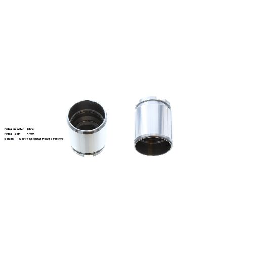 Bigg Red Caliper Piston L or R BRP233821