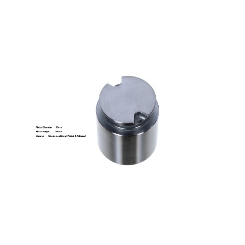 Bigg Red Caliper Piston L or R BRP233839