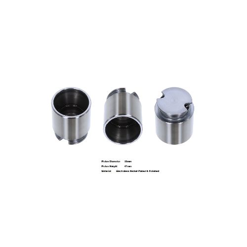 Bigg Red Caliper Piston L or R BRP233841