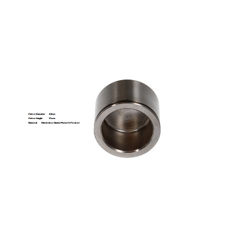 Bigg Red Caliper Piston L or R BRP234006