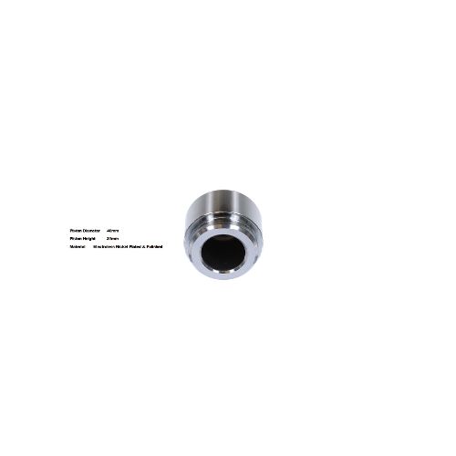 Bigg Red Caliper Piston L or R BRP234017