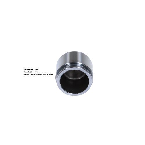 Bigg Red Caliper Piston L or R BRP234027