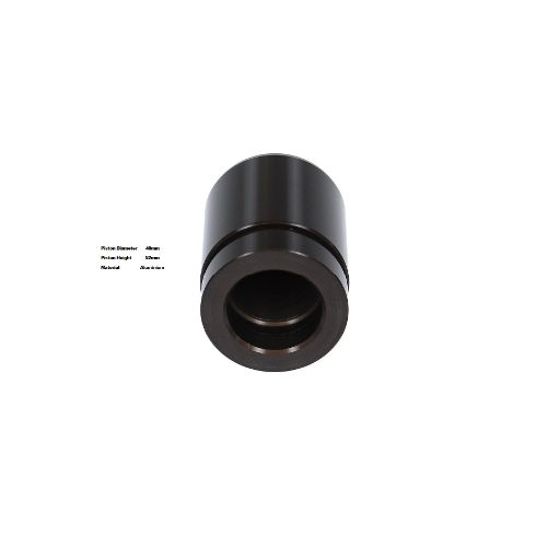 Bigg Red Caliper Piston L or R BRP234030