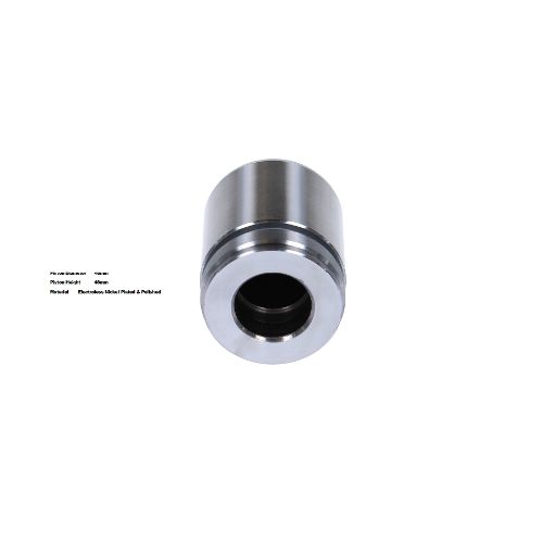 Bigg Red Caliper Piston L or R BRP234034