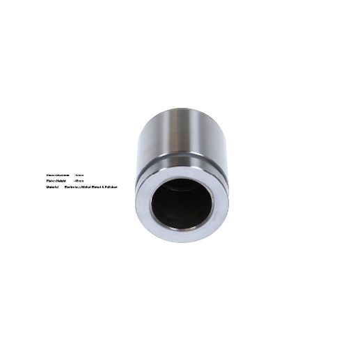 Bigg Red Caliper Piston L or R BRP234041