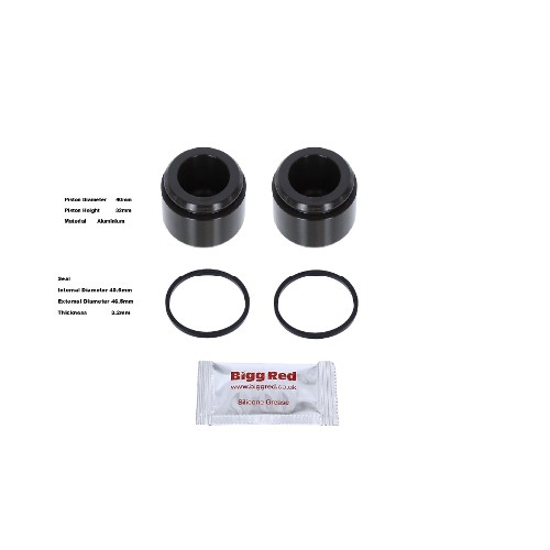 Bigg Red Caliper Piston L or R BRP234047KIT2