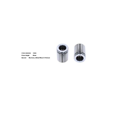 Bigg Red Caliper Piston L or R BRP234217