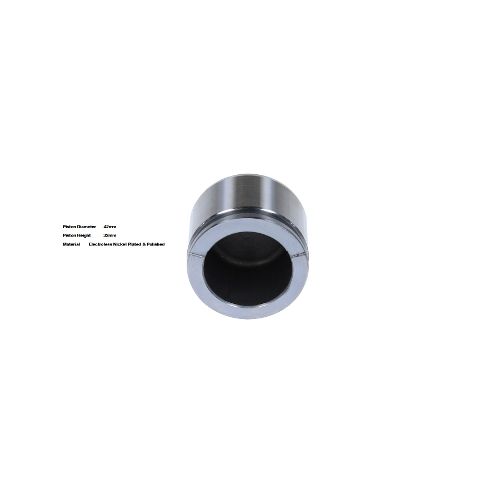Bigg Red Caliper Piston L or R BRP234223
