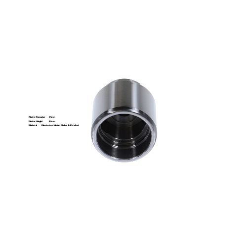 Bigg Red Caliper Piston L or R BRP234325