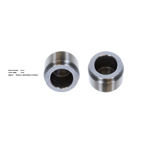 Bigg Red Caliper Piston L or R BRP234334