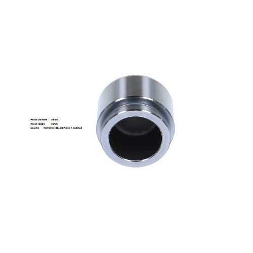 Bigg Red Caliper Piston L or R BRP234405